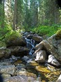 P6292384 rev 1.jpg