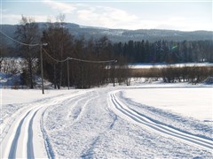 Skidspär elljusbanan