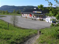 Affär´n och katten Morris