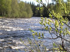 Åfloån