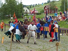 Tornérspel Svea Park
